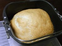 gopan2_nonoil2.jpg