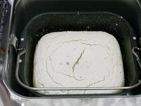 gopan_komugi0.jpg
