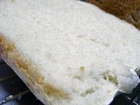 gopan_komugi0_3.jpg